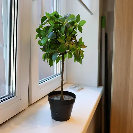 아파트 15min Walk To Oldtown, Dishwash, Parking, Aircon 탈린